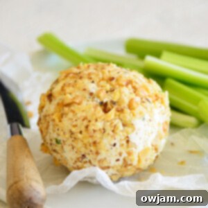Whip Up a Crowd-Pleasing Cheese Ball 11 How to Make a Cheese Ball with celery