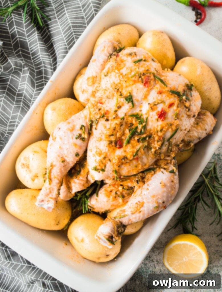 Whole Roasted Chicken with Potatoes with potatoes 