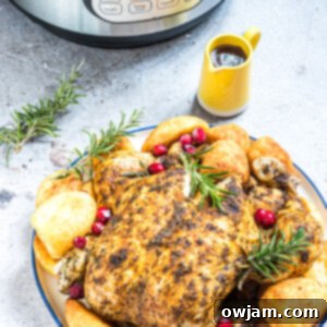 Instant Pot Rotisserie Chicken with the instant pot