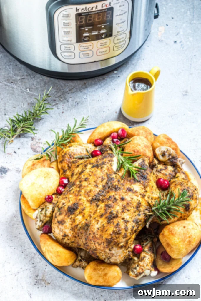 Instant Pot Rotisserie Chicken with the instant pot