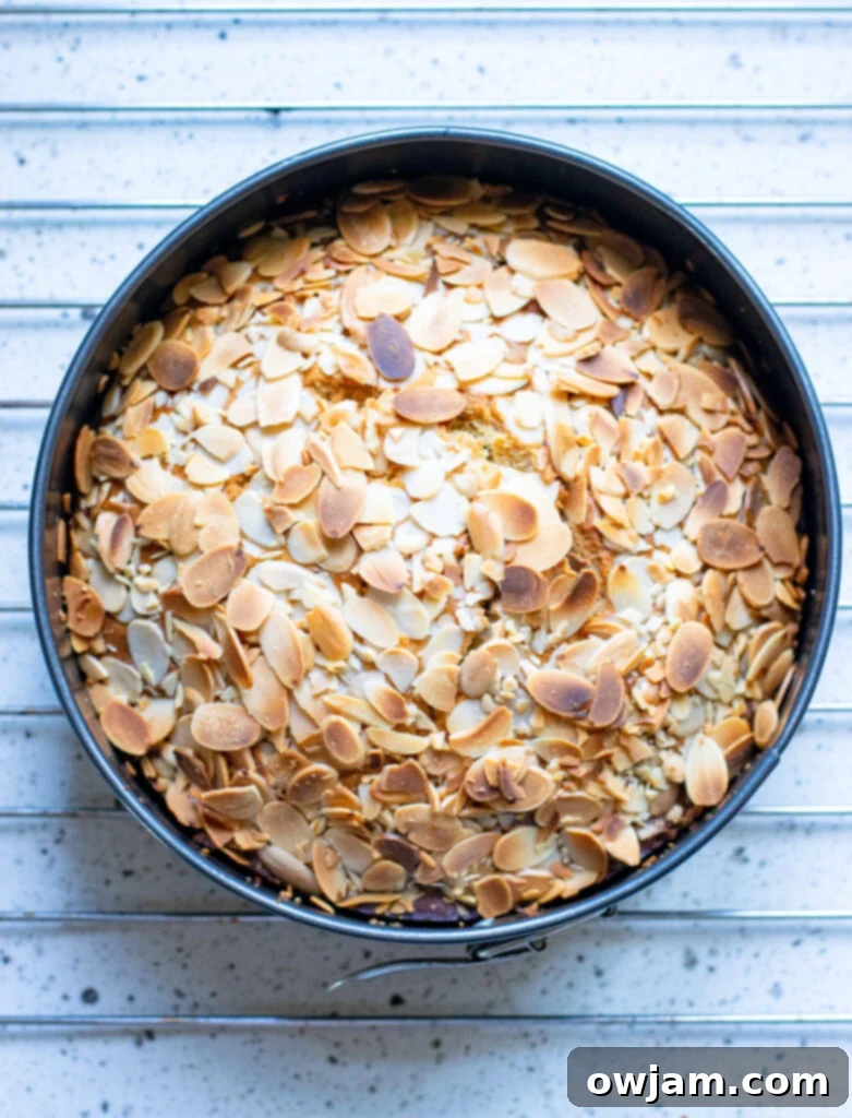Irresistible Almond Cake 8 Close-up of the crust of the baked Honey Almond Cake in the pan, highlighting the perfectly toasted sliced almonds