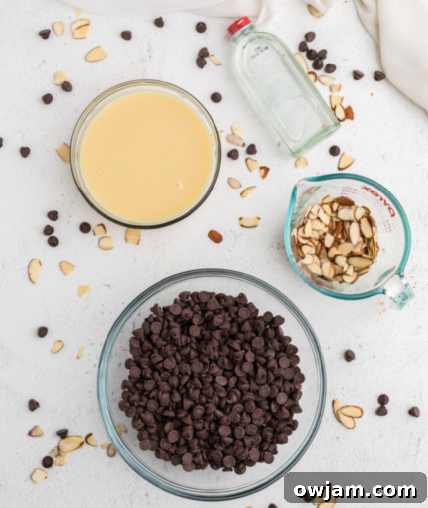 Four ingredients for Easy Chocolate Fudge: chocolate chips, condensed milk, almond extract, and slivered almonds.