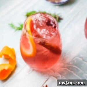 Cranberry Blush Sparkler 7 Cranberry Wine Spritzer 1200 x 1200