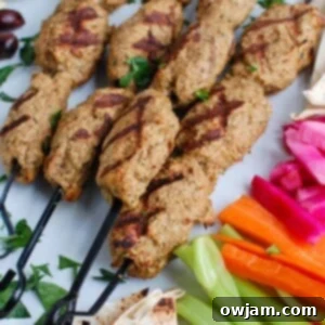 Chicken Meatballs 9 Chicken Kofta 1200 x 1200