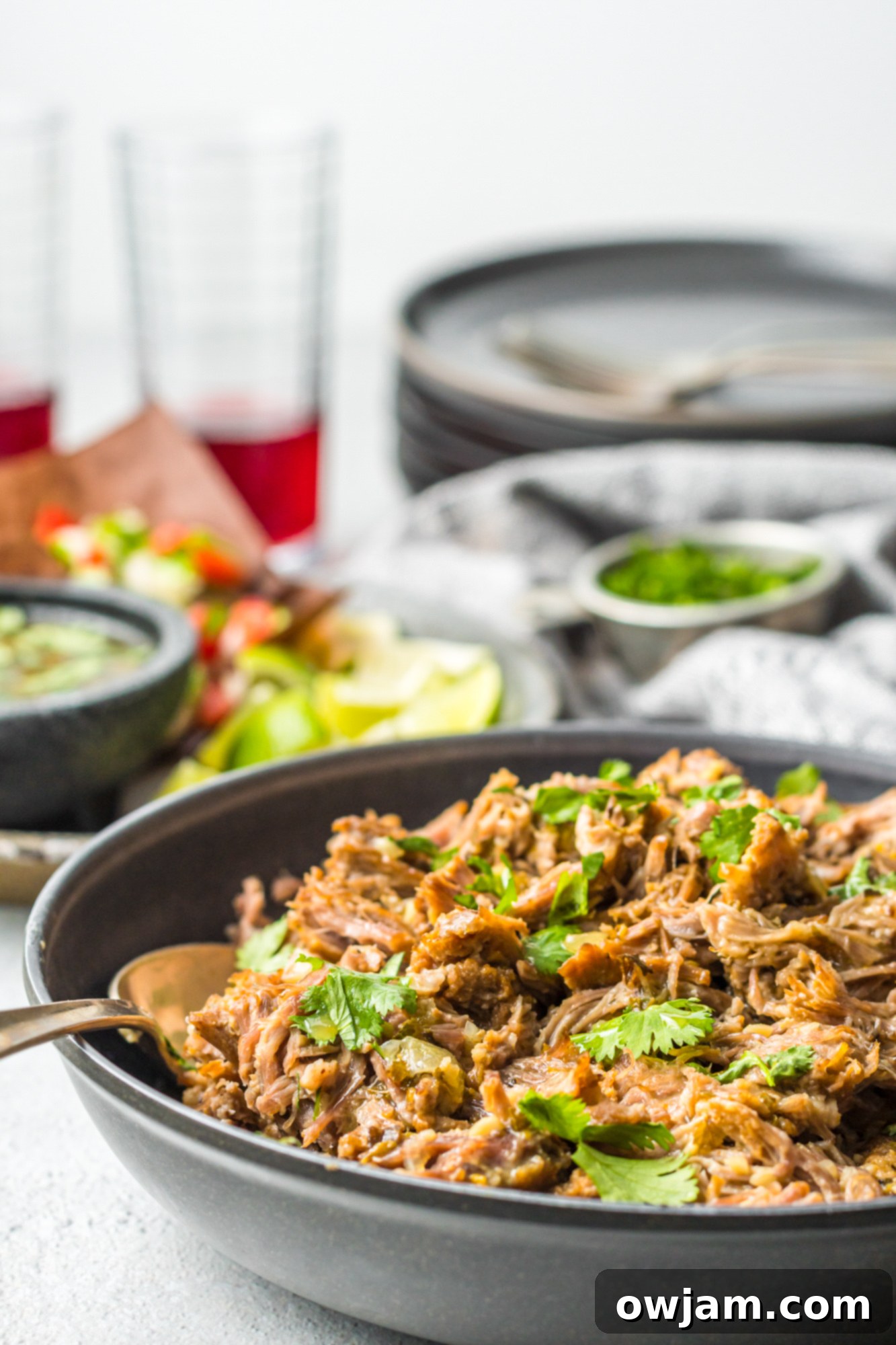 Instant Pot Pork Roast with spoon