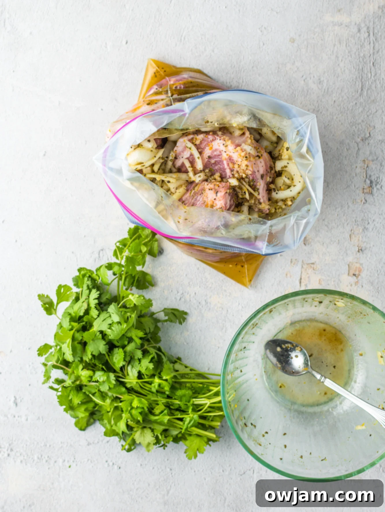 Instant Pot Pork Roast with bag of pork