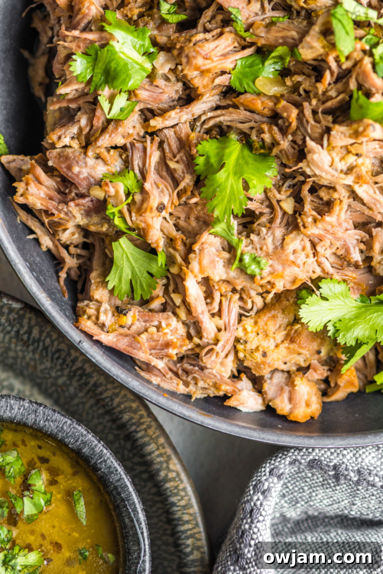 Instant Pot Pork Roast with cilantro