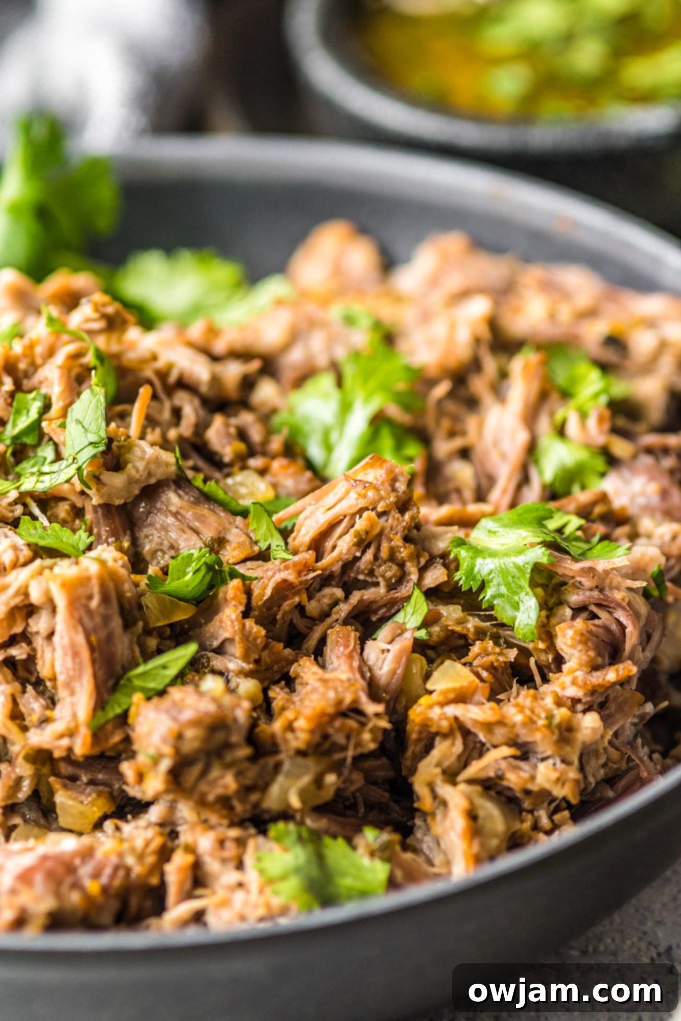 Instant Pot Pork Roast up close
