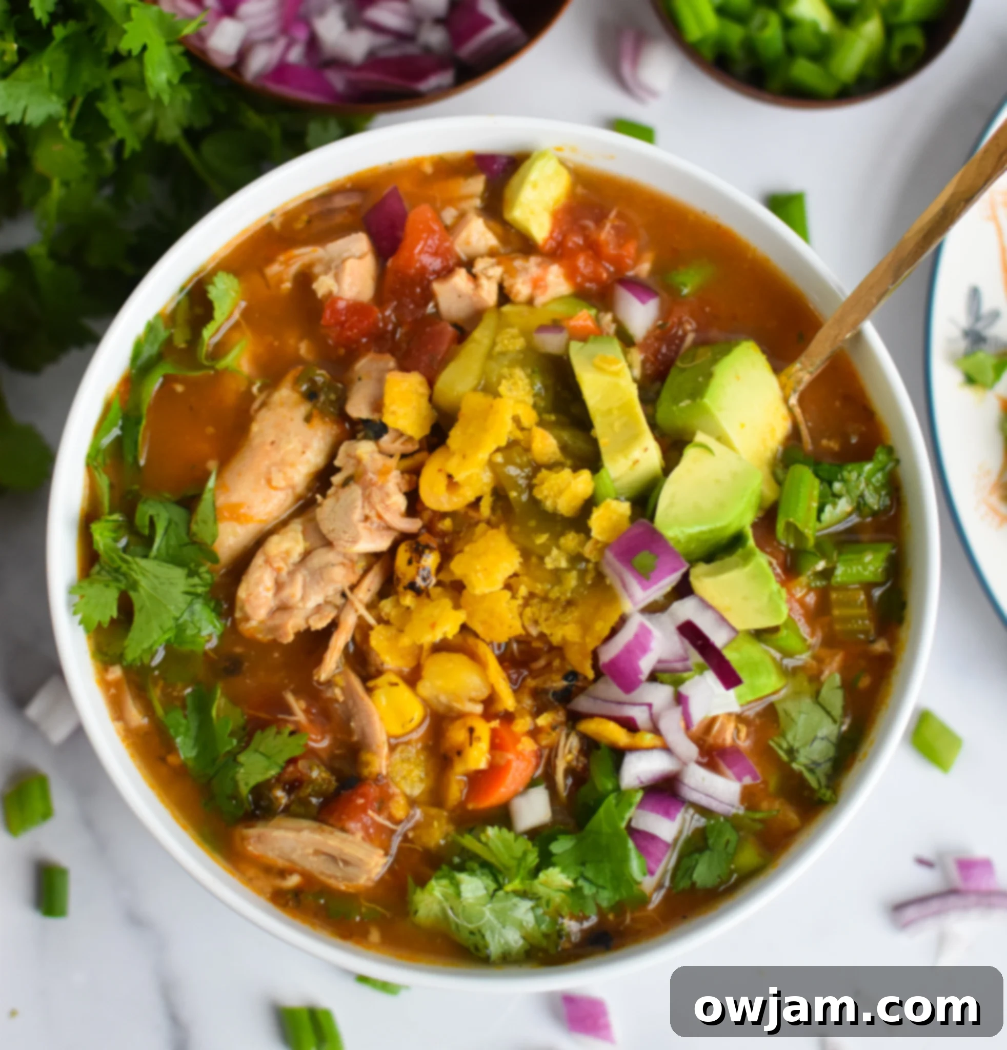 Hearty Slow Cooker Green Chili Chicken Soup garnished with fresh avocado slices.