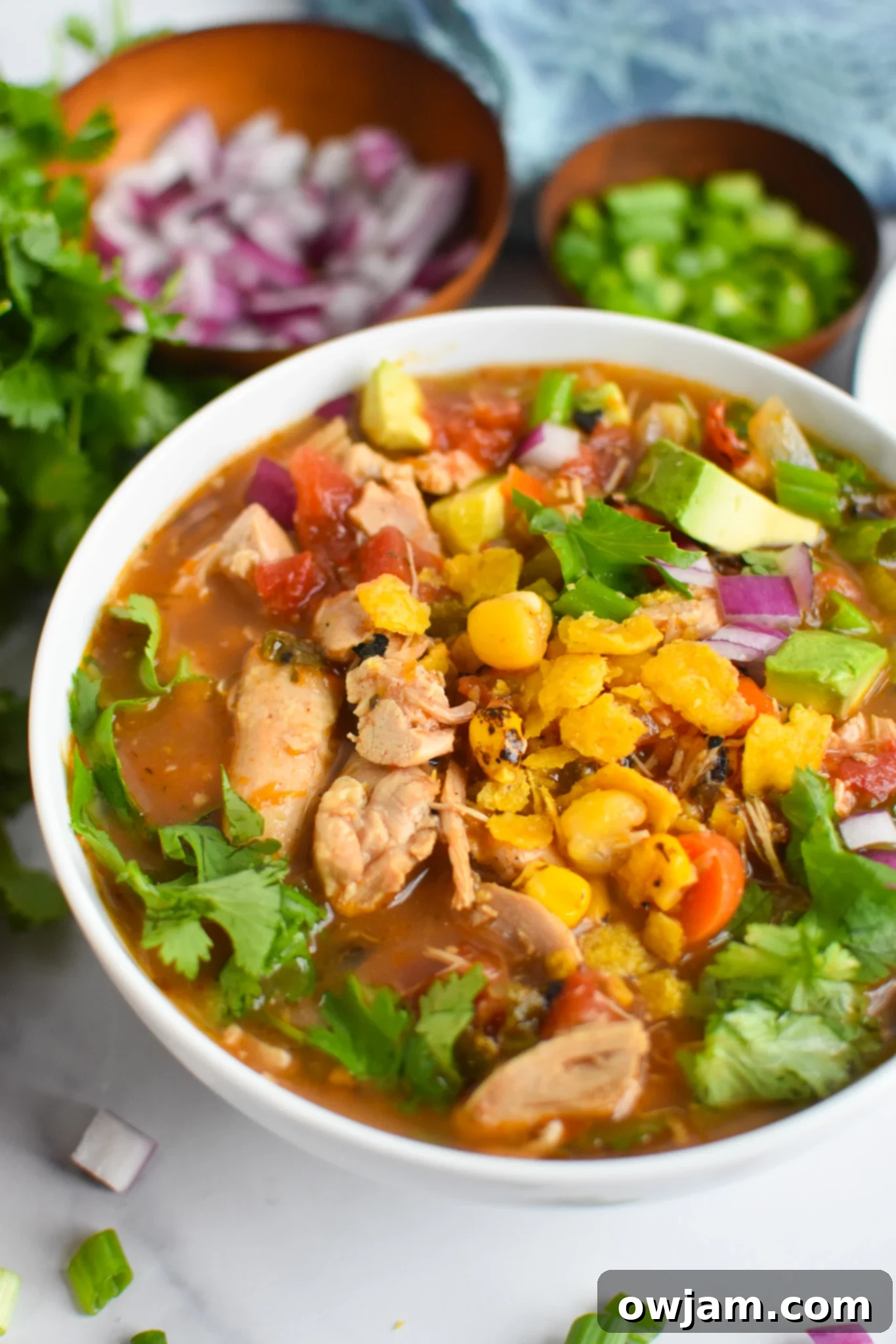 Close-up of Green Chili Chicken Soup topped with fresh cilantro, showcasing its rich texture.