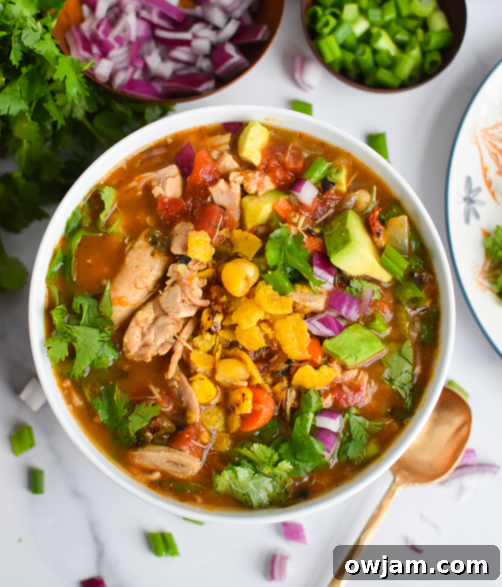 A serving of Green Chili Chicken Soup in a white bowl, ready to be enjoyed.
