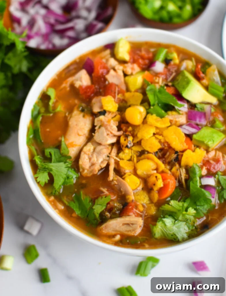 A vibrant bowl of Green Chili Chicken Soup, ready to be enjoyed as a hearty meal.