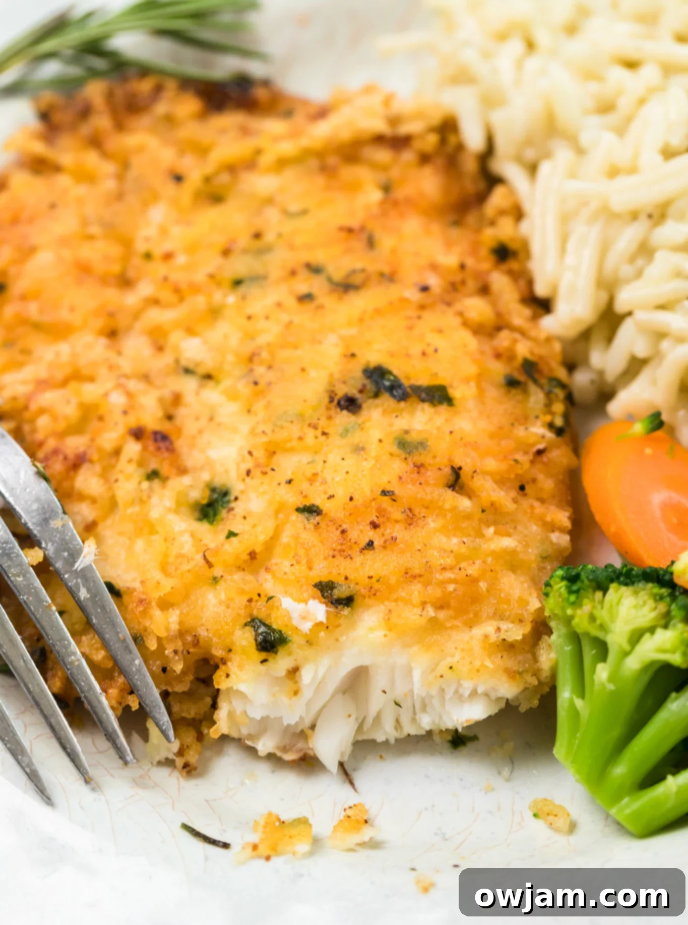 Crispy Parmesan Tilapia 2 Golden brown Parmesan Crusted Tilapia fillet with a fork, ready to be eaten, showcasing its crispy crust.