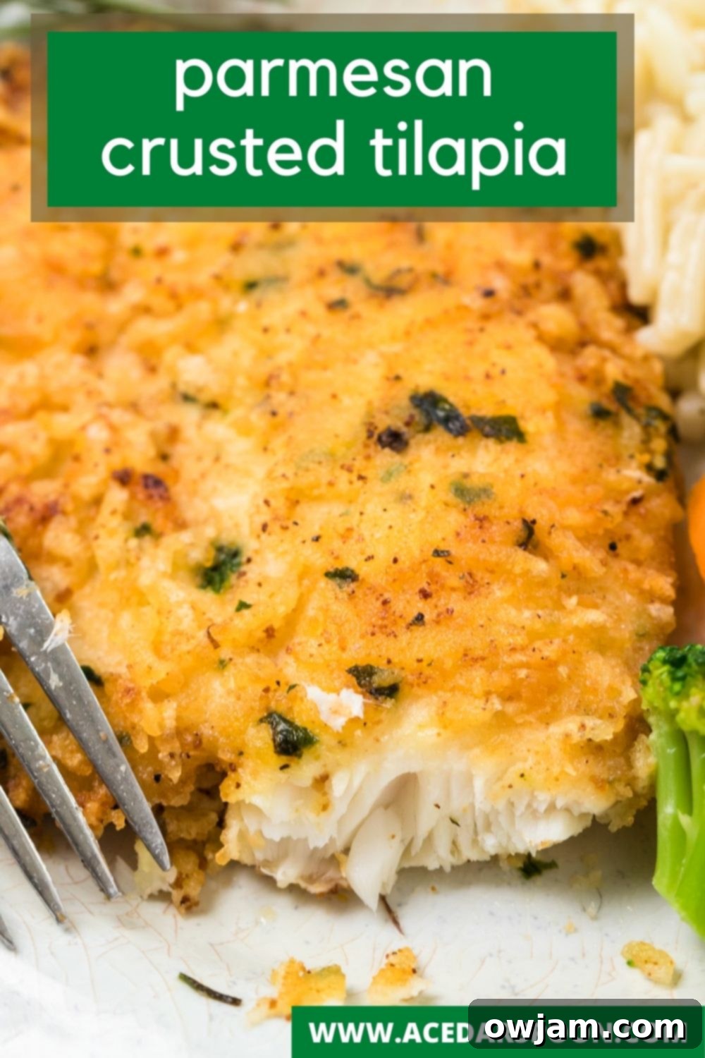 Crispy Parmesan Tilapia 10 A perfectly cooked Parmesan Crusted Tilapia fillet on a white plate, ready to be served, showcasing its appealing golden crust.