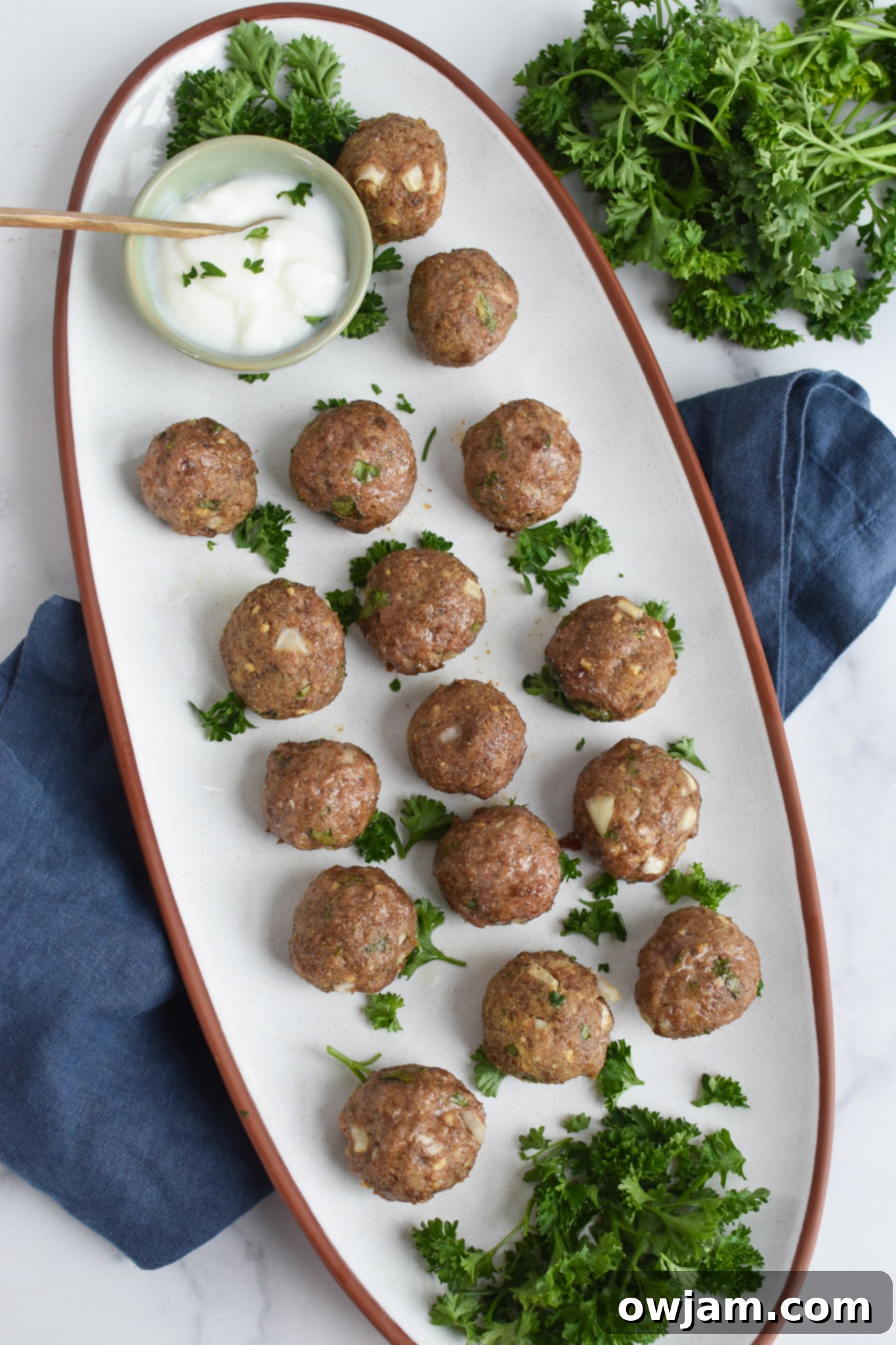 Lamb Kofta on a white platter, ready to be served or as an appetizer.