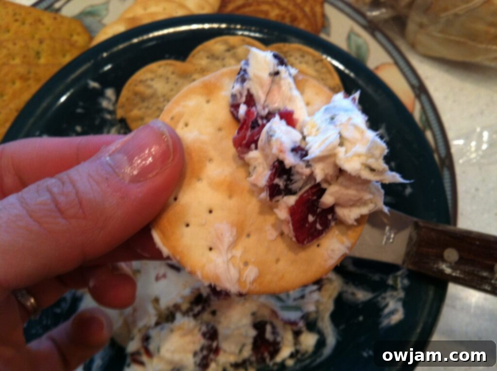 Creamy Rosemary Cranberry Spread served as a dip with various crackers