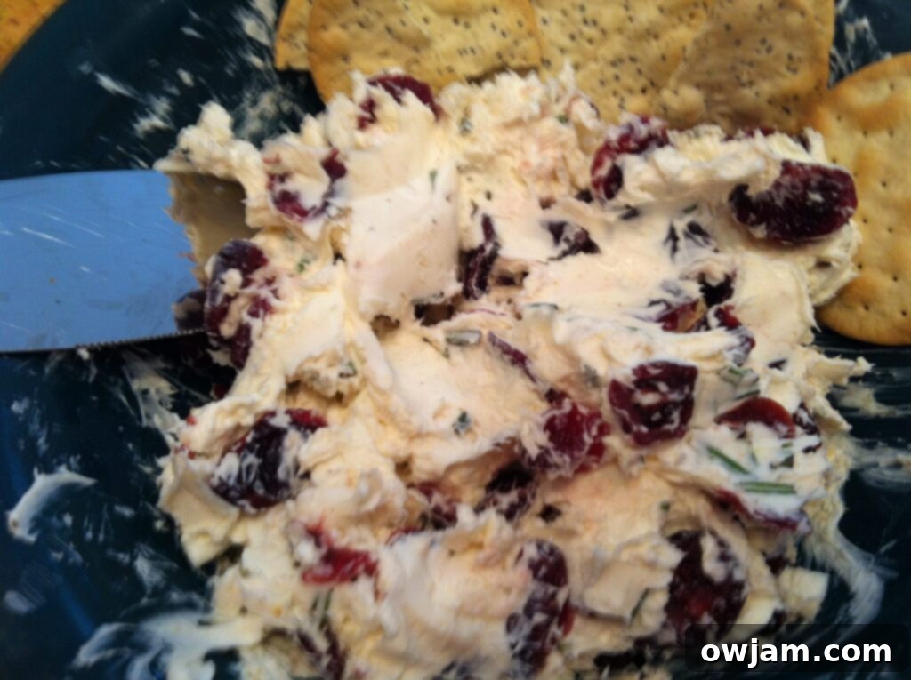 Close-up of creamy and delicious Rosemary Cranberry Spread, showcasing texture and ingredients