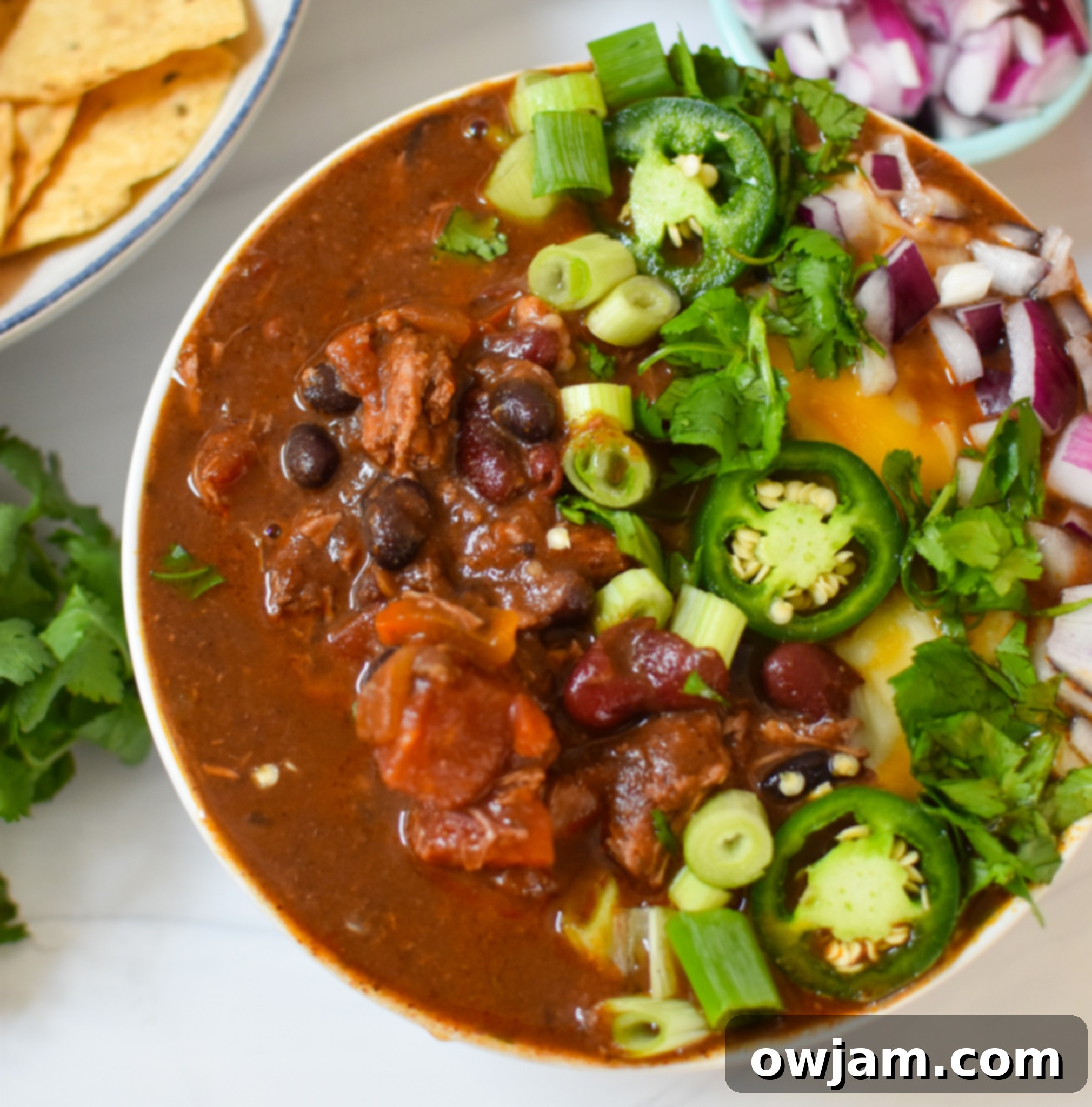 Hearty Chili Con Carne 6 A close-up of Chili Con Carne with a sprinkle of red onion on top.