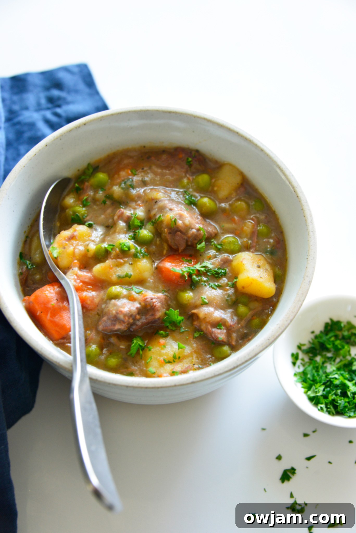 Easy Instant Pot Beef Stew 2 Instant Pot Beef Stew Recipe with spoon, showing a rich, hearty stew with tender beef and vibrant vegetables.