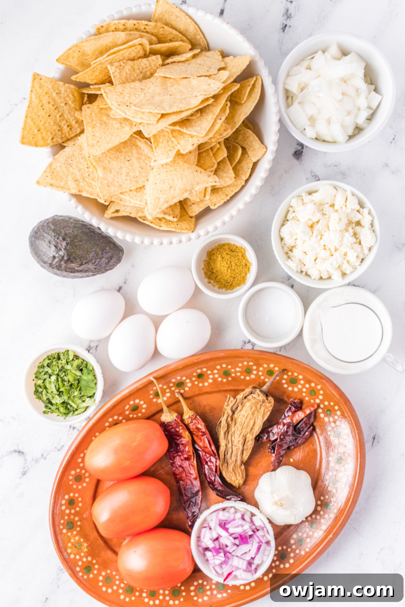Traditional Red Chilaquiles 4 A flat lay of fresh ingredients for Chilaquiles Rojos, including dried chiles, roma tomatoes, onion, garlic, and avocado.