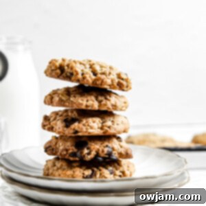 Wholesome Banana Oat Cookies 11 img 39907 10