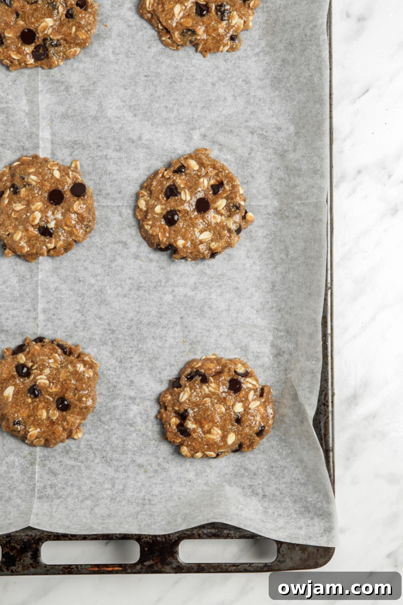 Wholesome Banana Oat Cookies 8 Homemade Banana Oatmeal Cookies flattened cookies.