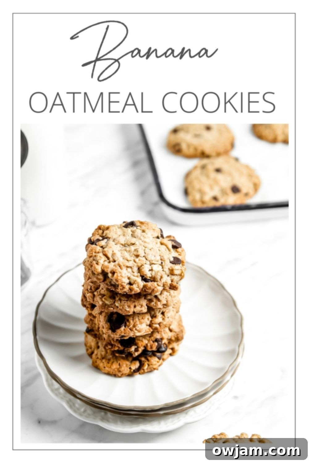 Wholesome Banana Oat Cookies 10 Homemade Banana Oatmeal Cookies with logo.