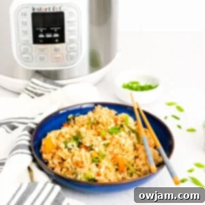 Effortless Instant Pot Fried Rice 7 Instant Pot Fried Rice with Instant Pot in background.