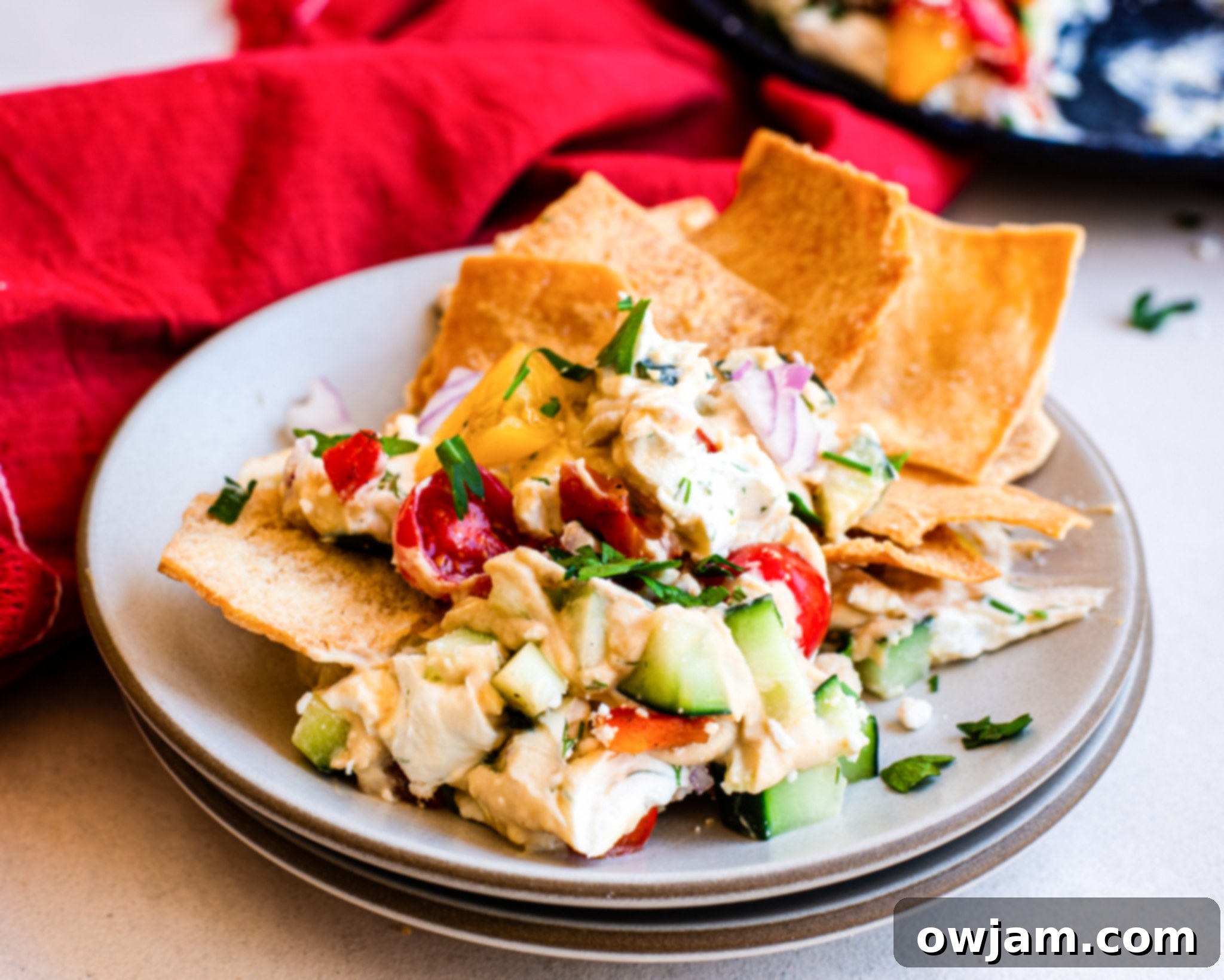A scoop of Layered Greek Dip on a pita chip, showing distinct layers.