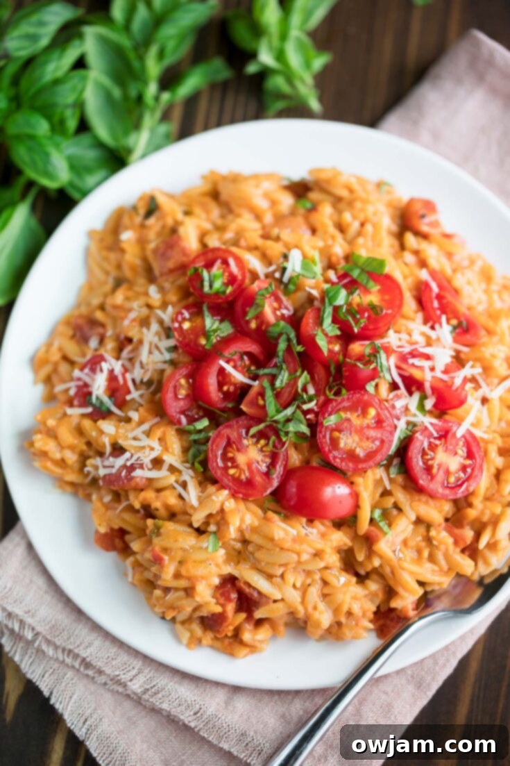 One-pot Creamy Tomato Orzo, a quick and versatile pasta side.