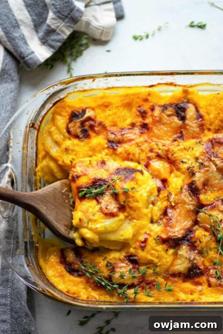 Luxurious Roasted Garlic Brie Butternut Squash Scalloped Potatoes, a lighter yet rich steak side.