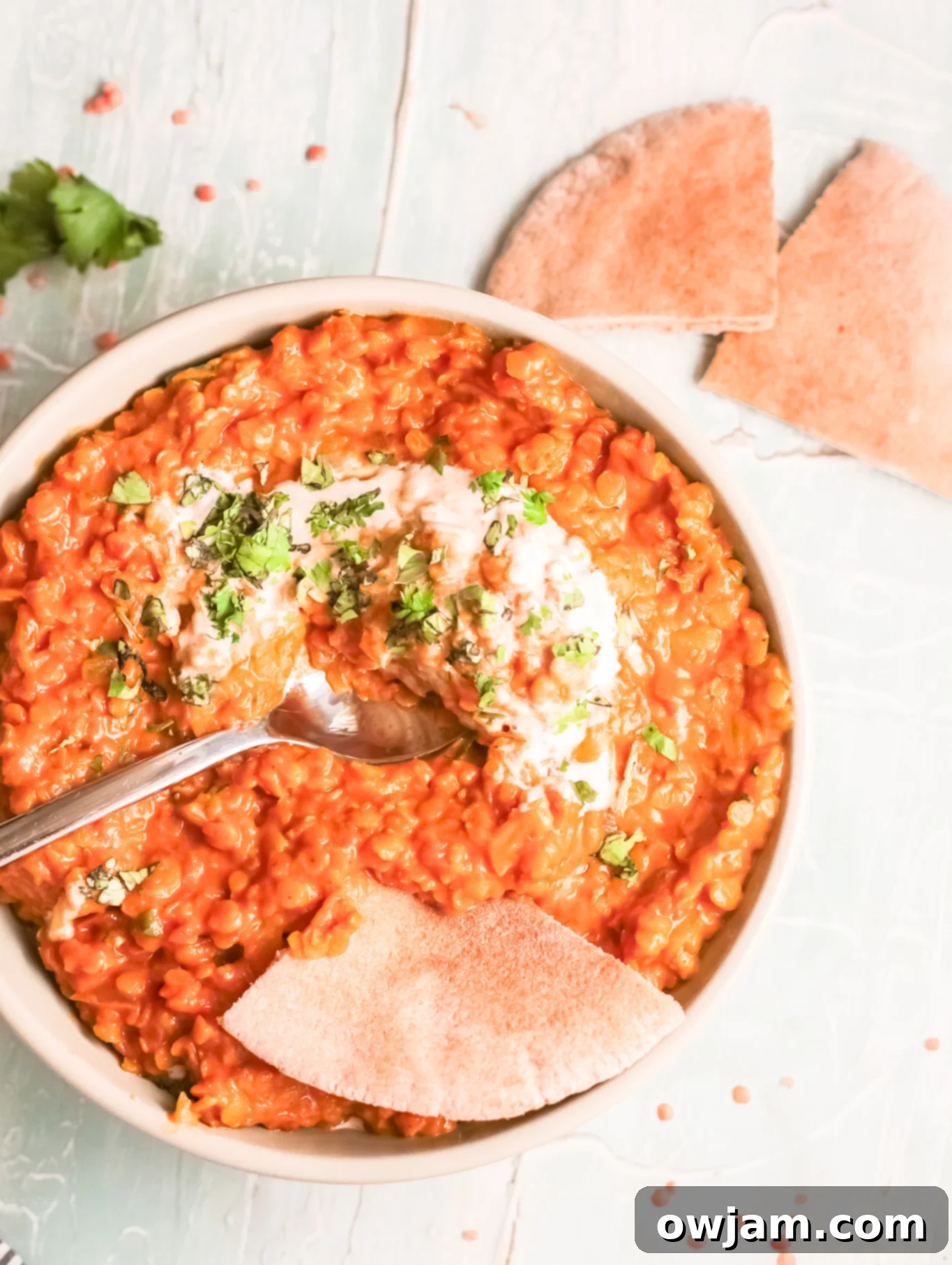 Red Lentil Curry with spoon in a bowl, garnished with fresh parsley.