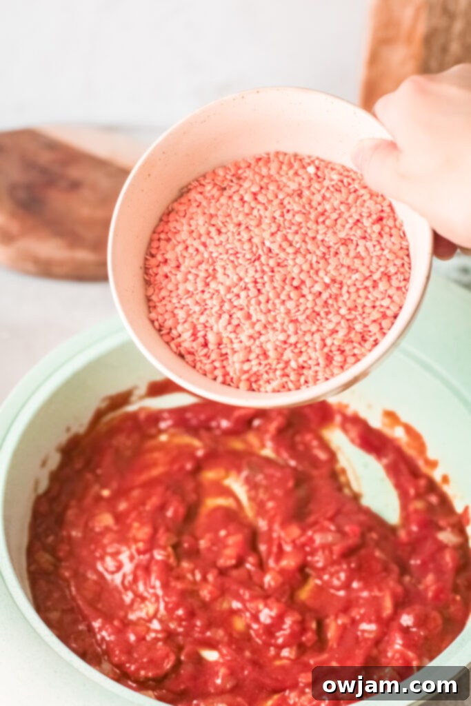 Red lentils being stirred into the curry base in a pan.