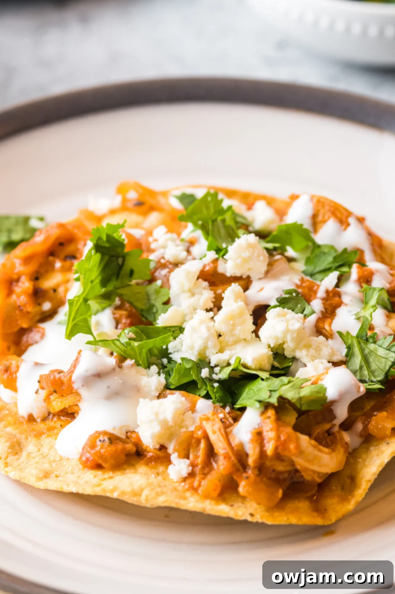 Smoky Chipotle Chicken Tinga 2 Chicken Tinga Recipe with sour cream and cilantro.