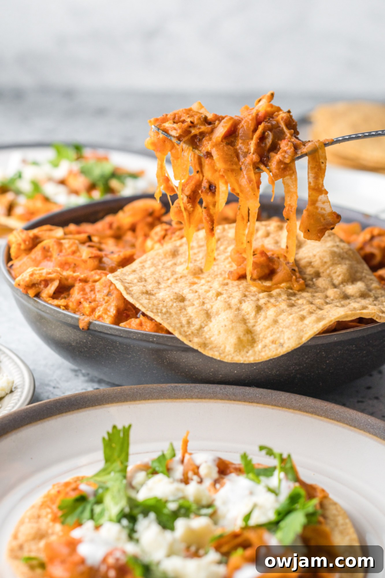 Smoky Chipotle Chicken Tinga 11 Chicken Tinga Recipe with spoon of chicken.