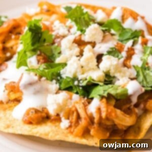 Smoky Chipotle Chicken Tinga 12 Chicken Tinga Recipe 1200 x 1200