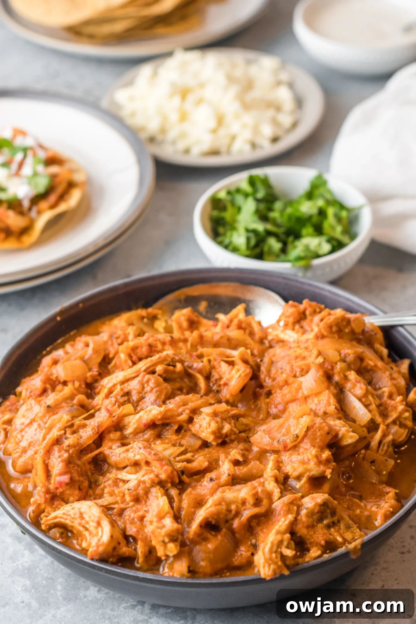 Smoky Chipotle Chicken Tinga 5 Chicken Tinga Recipe with cilantro.