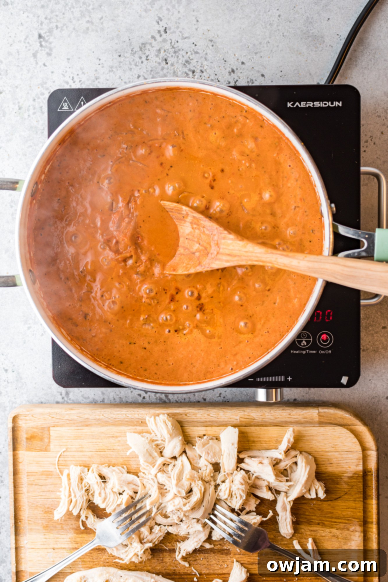 Smoky Chipotle Chicken Tinga 8 Chicken Tinga Recipe with spoon.