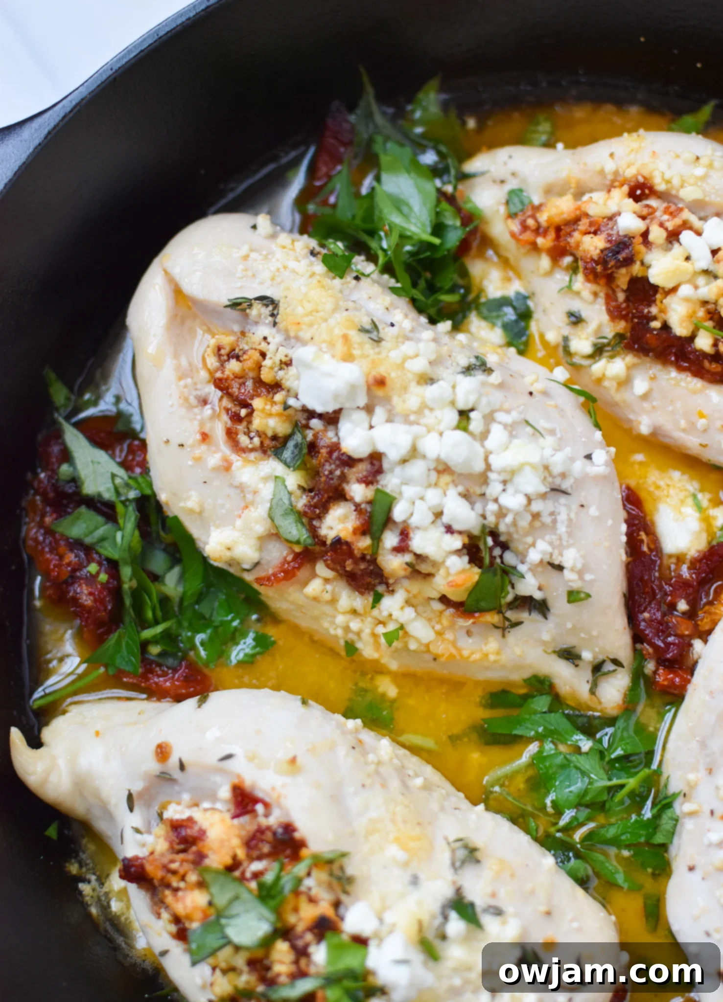 Mediterranean-Kissed Chicken Stuffed with Sun-dried Tomato and Goat Cheese 2 Sun-dried Tomato Goat Cheese Stuffed Chicken Breasts with basil.
