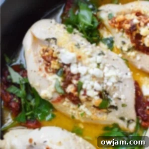 Tangy Sun-dried Tomato and Goat Cheese Stuffed Chicken 11 Sun-dried Tomato Goat Cheese Stuffed Chicken Breasts 1200 x 1200