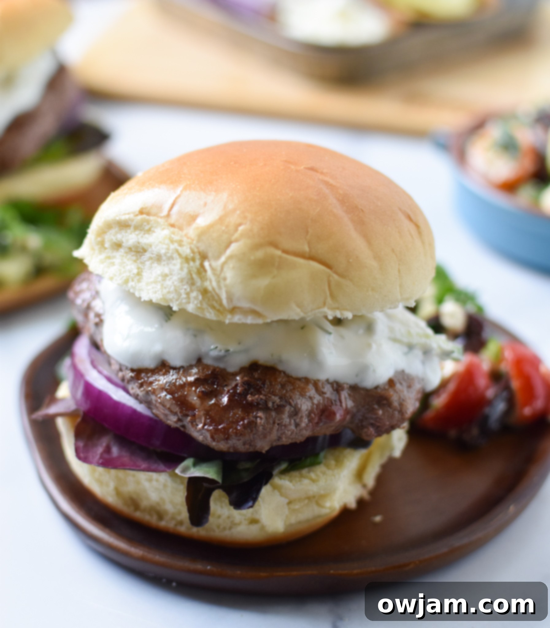 Easy Greek Burger Recipe 5 Easy Greek Burger Recipe with bun on plate.