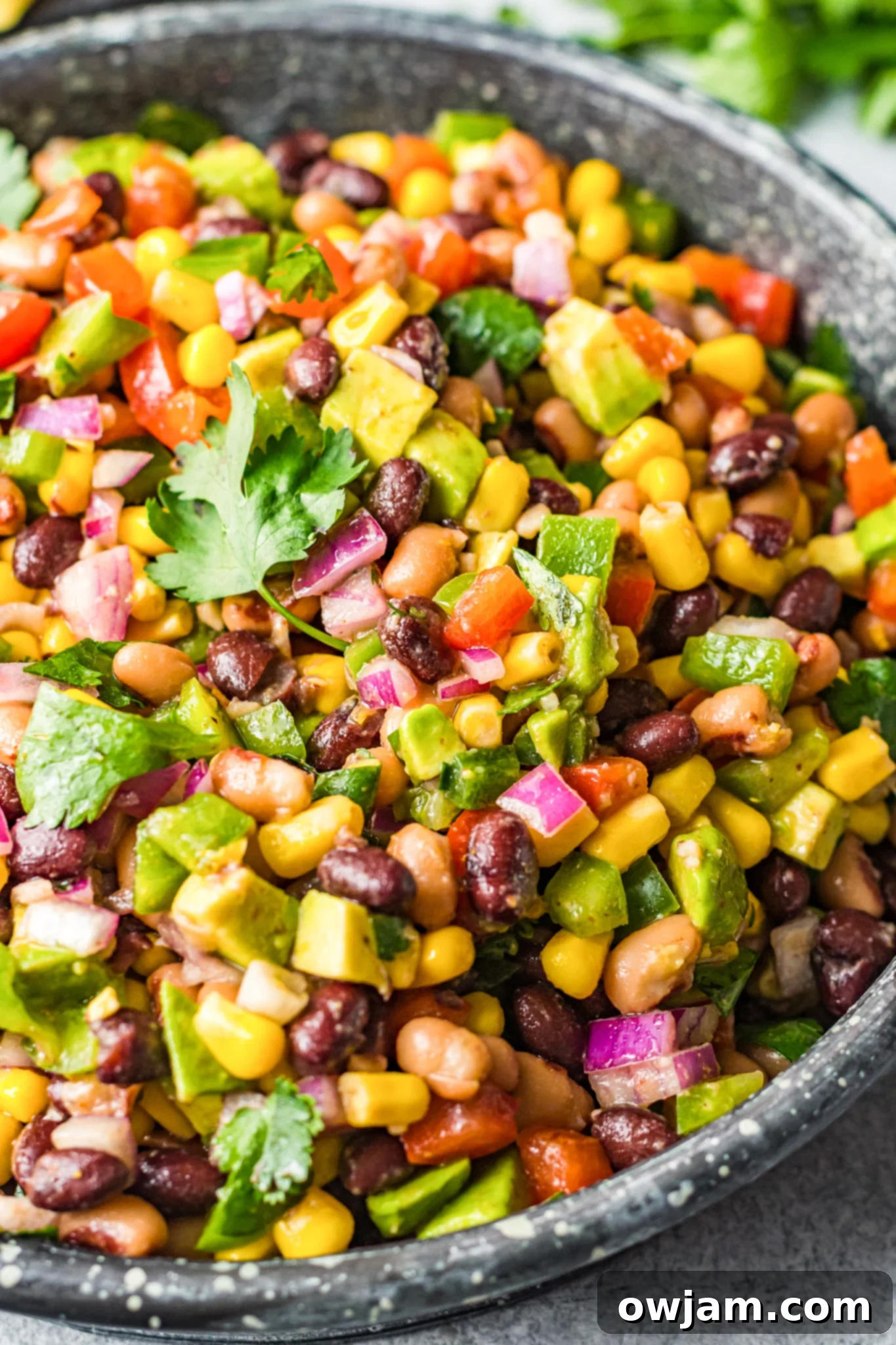 Close-up of Cowboy Caviar Recipe in a bowl, garnished with fresh cilantro.