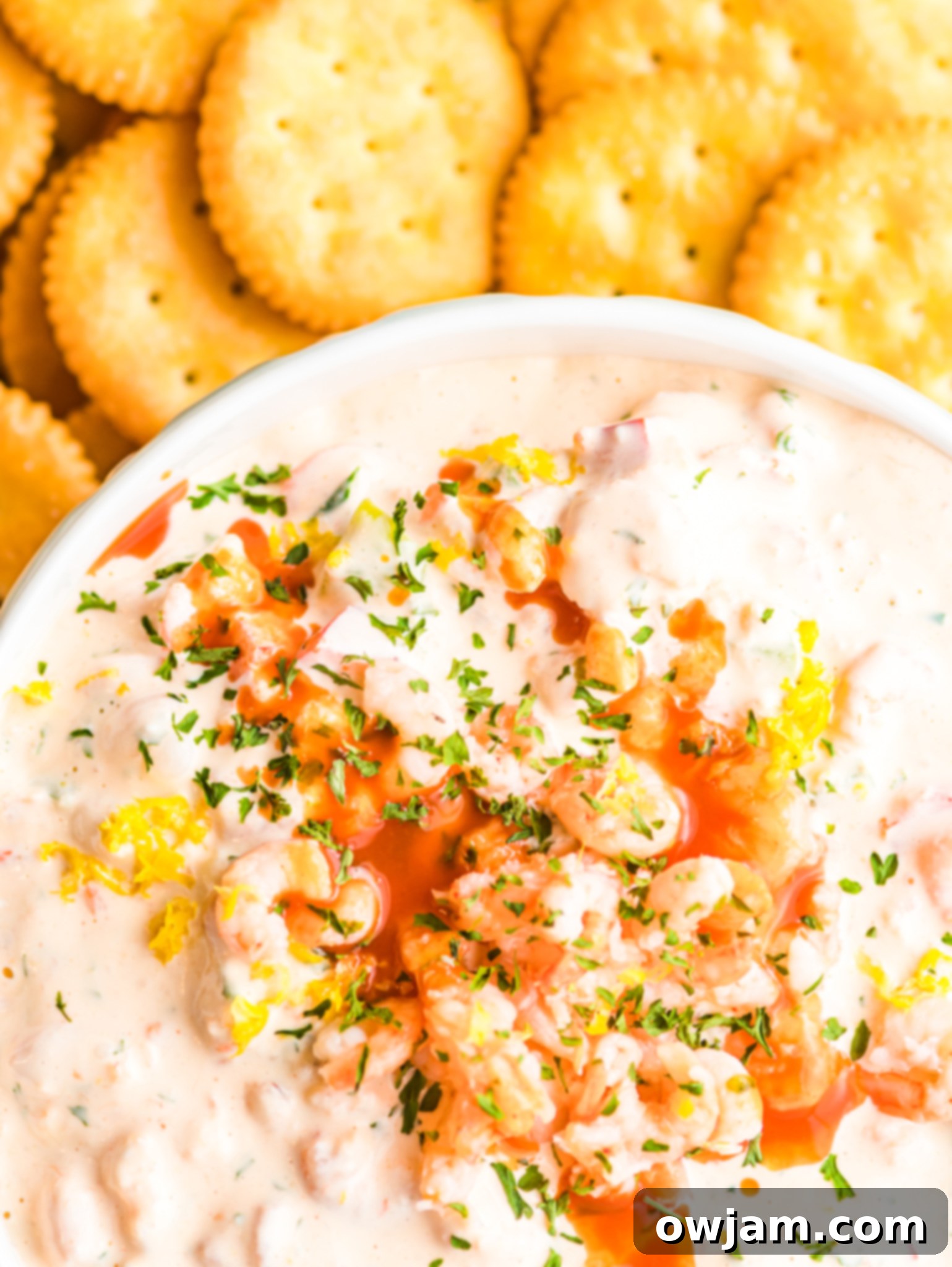 Irresistible Shrimp Dip 5 Serving of Shrimp Dip Recipe with crackers on a platter.