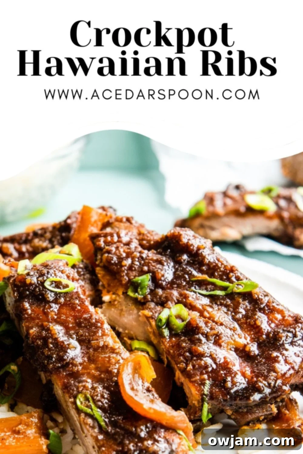 Aloha Slow Cooker Pork Ribs 10 Slow Cooker Hawaiian Pork Ribs with blog logo.