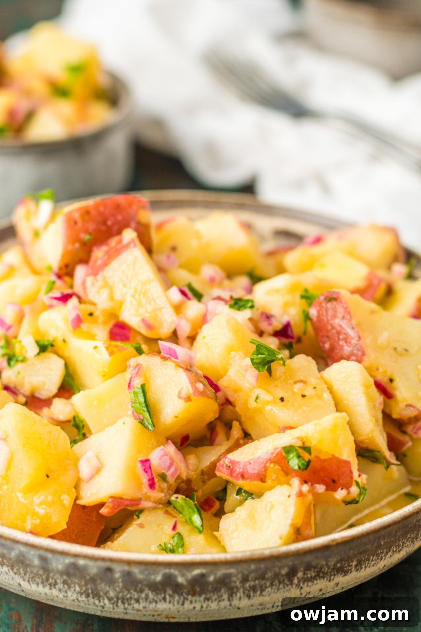 Warm German Potato Salad garnished with fresh parsley, ready to be served.
