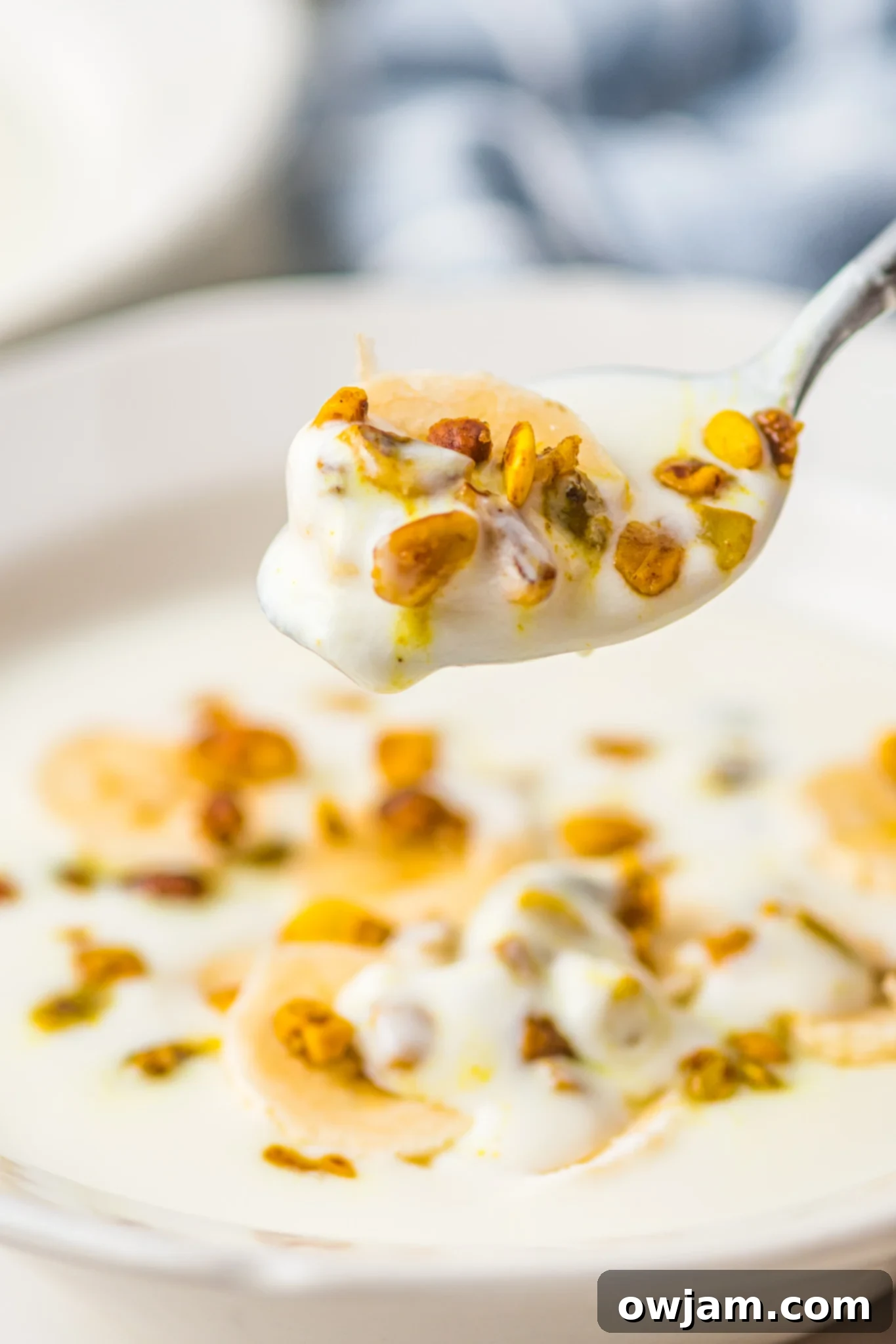 Easy Instant Pot Yogurt 2 A close-up shot of creamy Instant Pot yogurt in a bowl with a spoon, ready to be enjoyed.