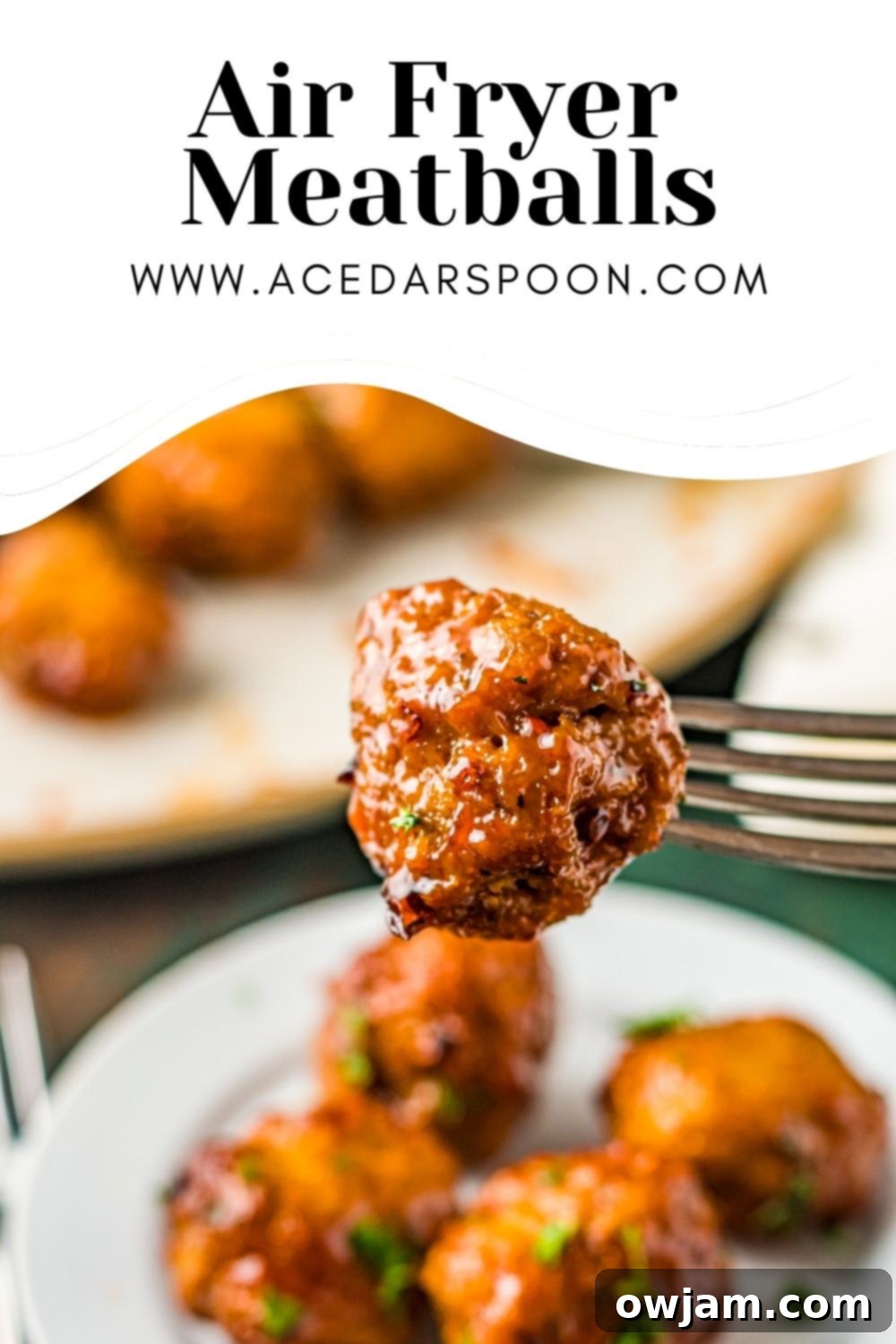 Air Fryer Meatballs with logo.
