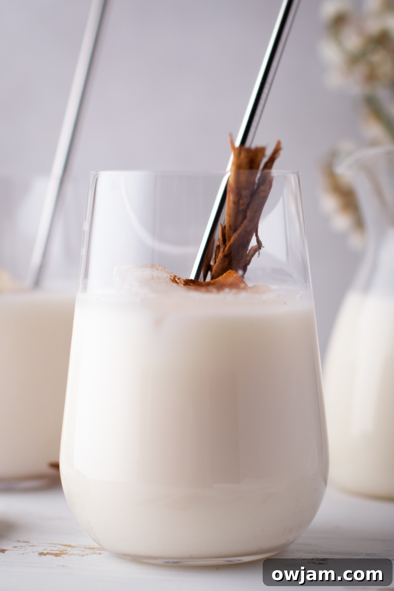 Homemade Horchata 2 Horchata Recipe in a glass cup.