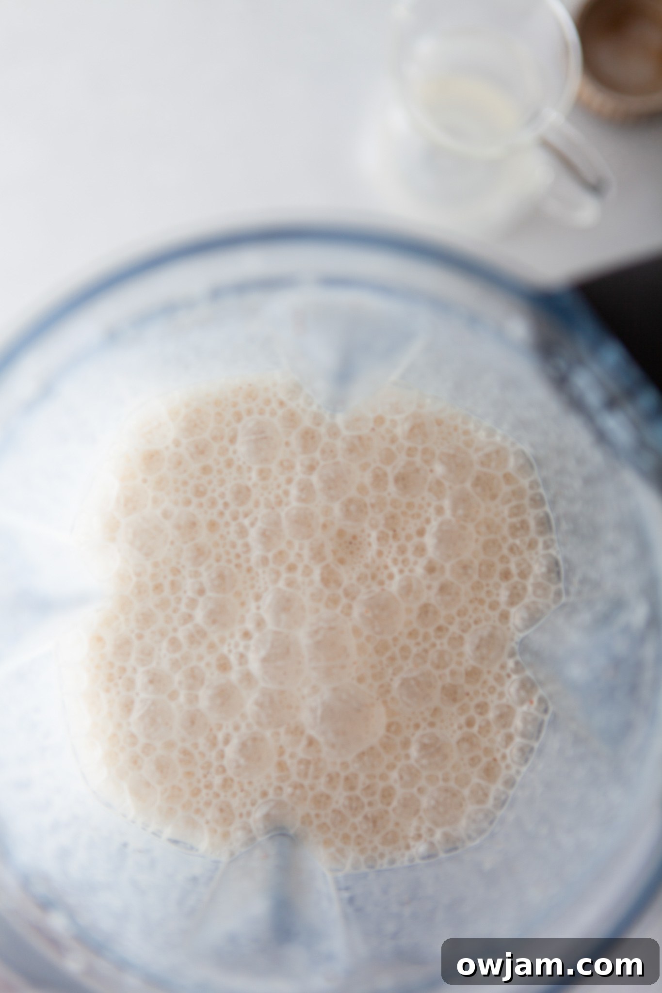 Homemade Horchata 6 Horchata Recipe in a blender.