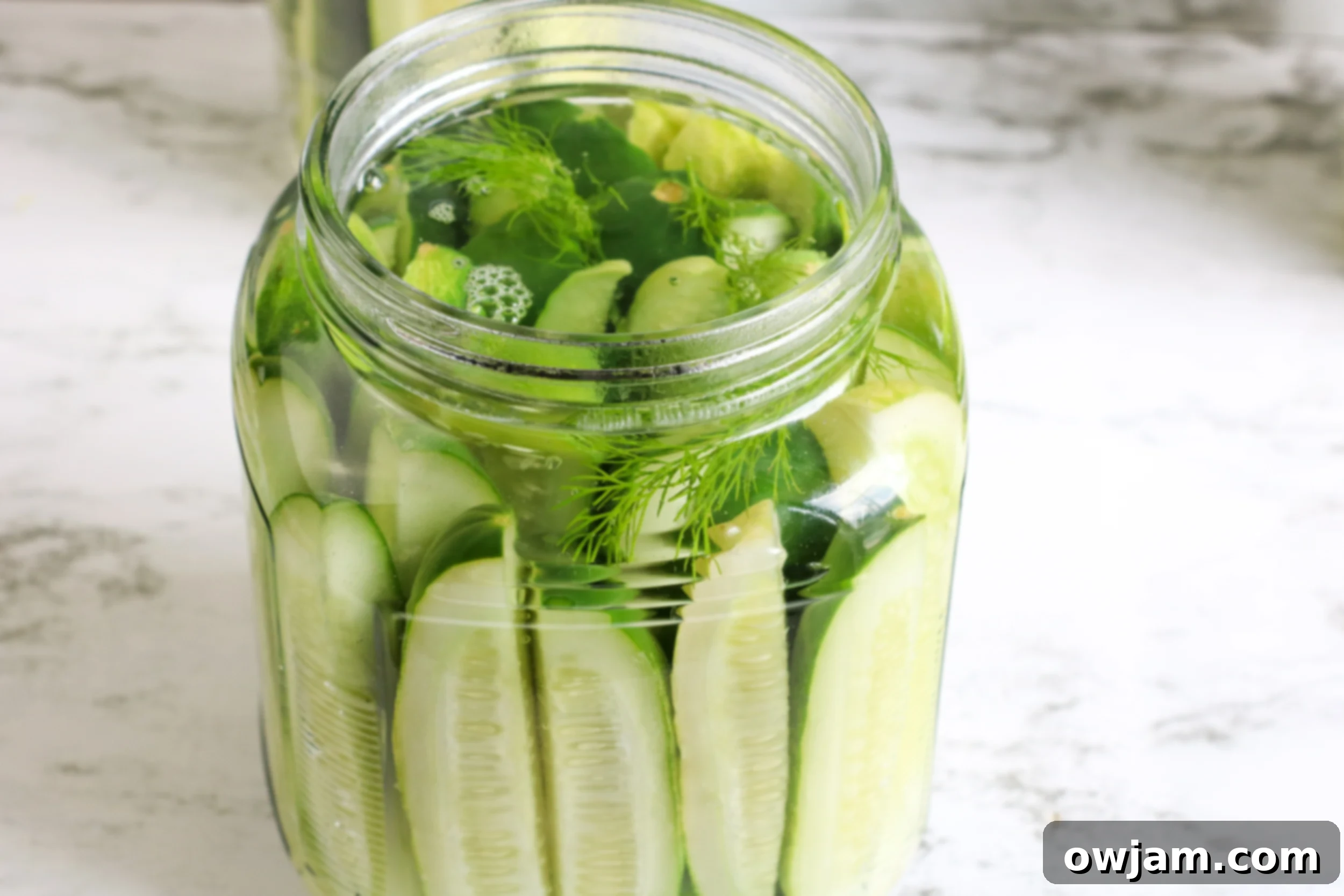 Refrigerator Dill Pickles in a jar.